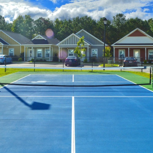 Pickleball Court Pickleball Court