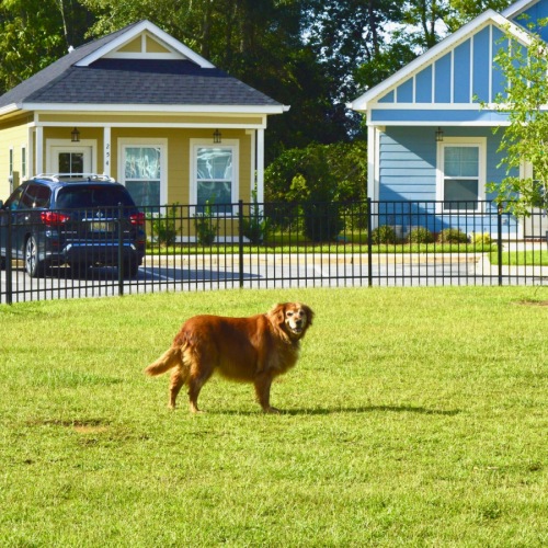 Two Pet Parks Two Pet Parks